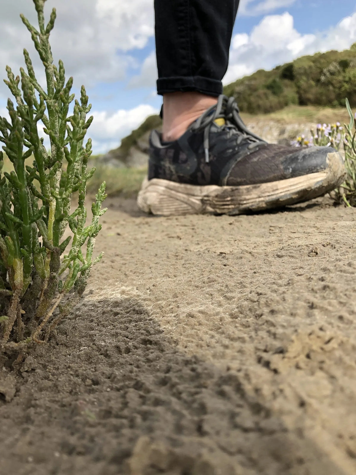21km coastal walk in Discover walking shoes.