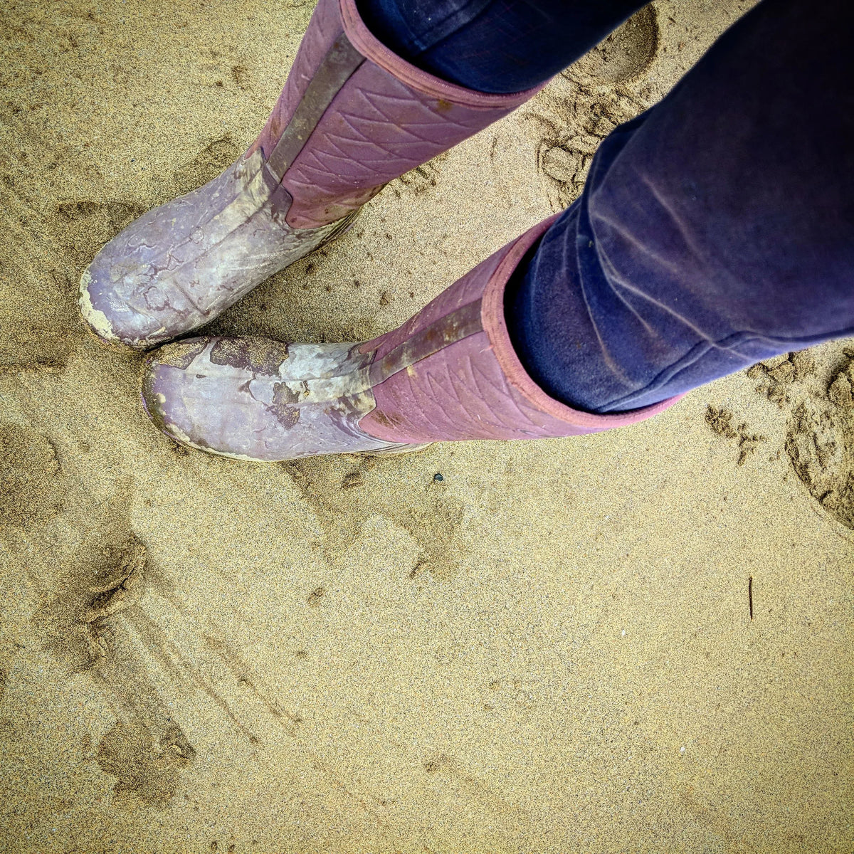 No More Cold Feet - Thanks To Grub’s