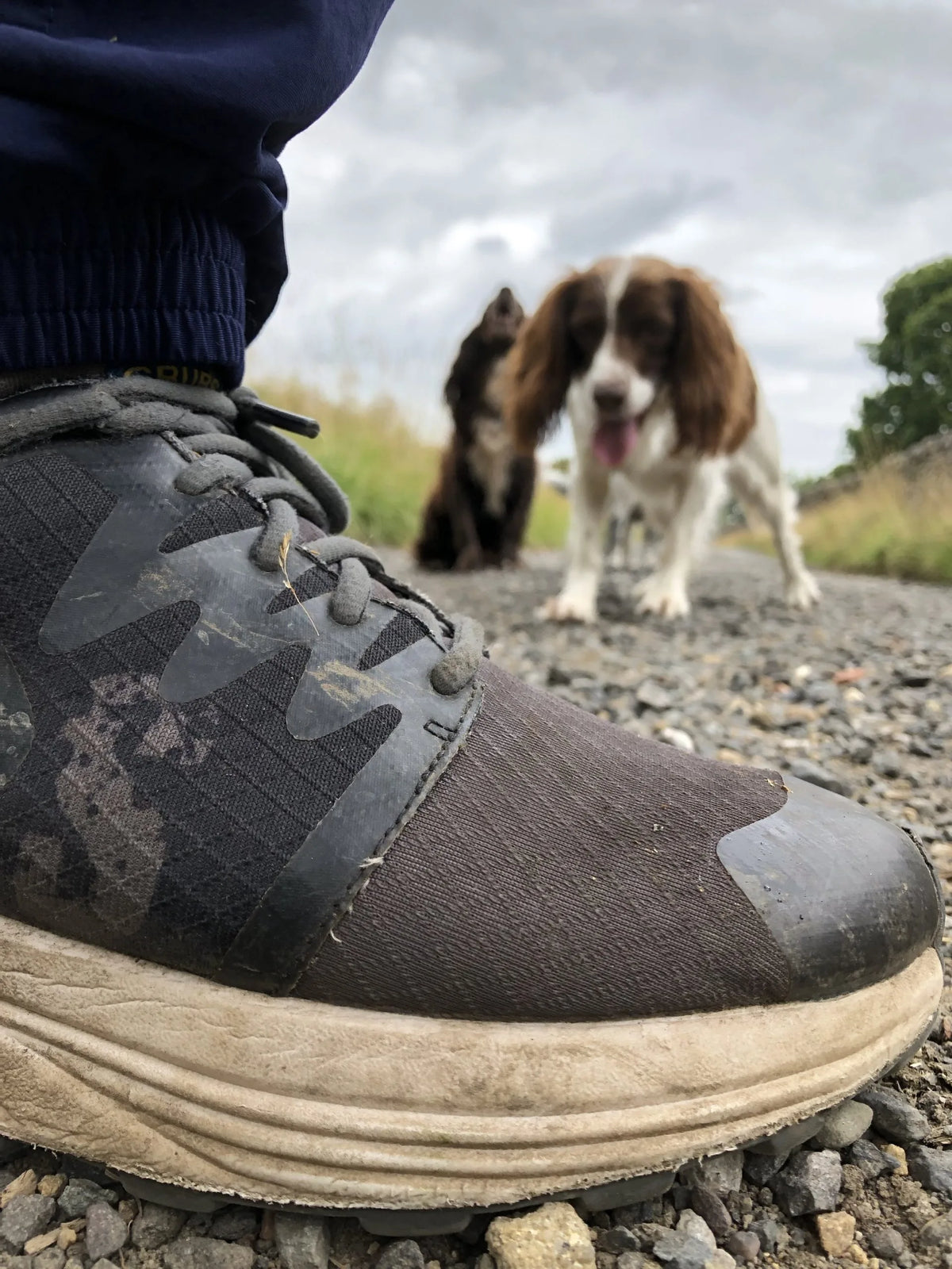 Grub’s Discover Shoe  Sara Walker, equestrian journalist