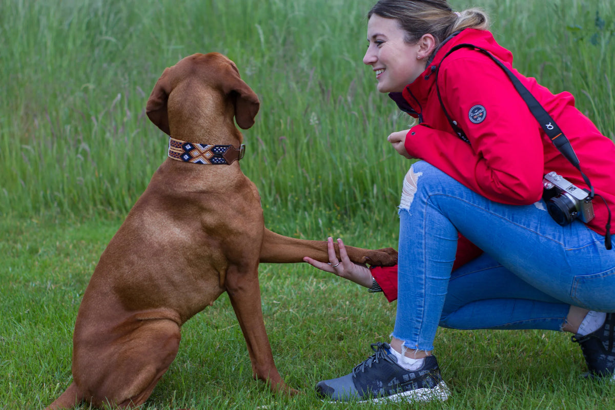 The Weekend Warriors and Chilli Pepper Dog Discover the Difference