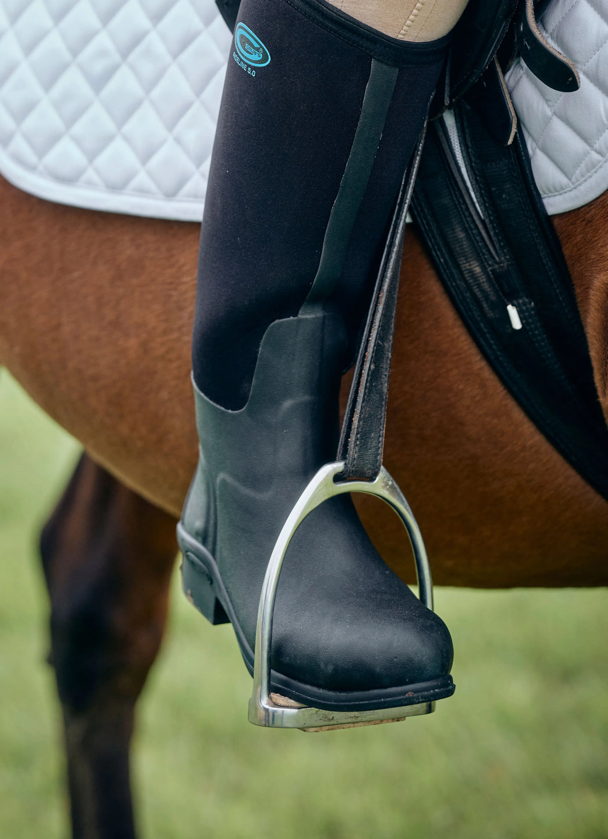 Equestrian - Grubs Warehouse